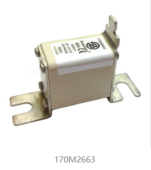 170M2663