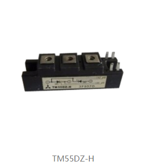 TM55DZ-H
